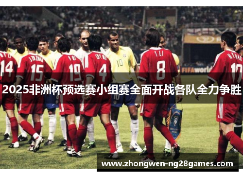 2025非洲杯预选赛小组赛全面开战各队全力争胜 2025非洲杯预选赛小组赛全面开战各队全力争胜
