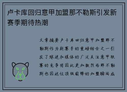 卢卡库回归意甲加盟那不勒斯引发新赛季期待热潮